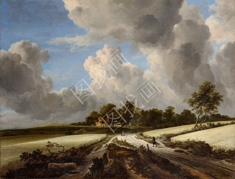 荷兰 Jacob van Ruisdael 麦田 63x48cm